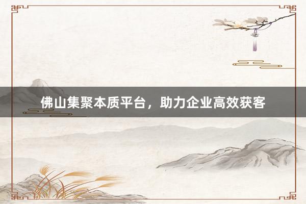 佛山集聚本质平台，助力企业高效获客