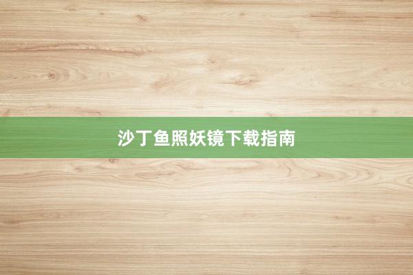 沙丁鱼照妖镜下载指南